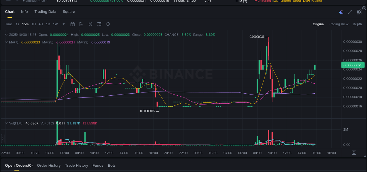 Report of FLM pump on Binance at 30 October 2025, 15:46