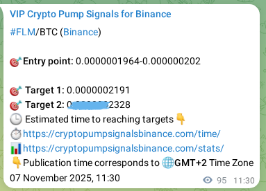 Real-time verification of FLM pump signal on Binance, 07 November 2025, 13:26