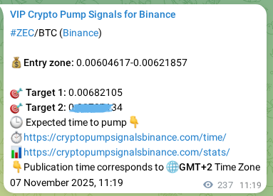 ZEC signal verification on Binance, 07 November 2025, 16:49
