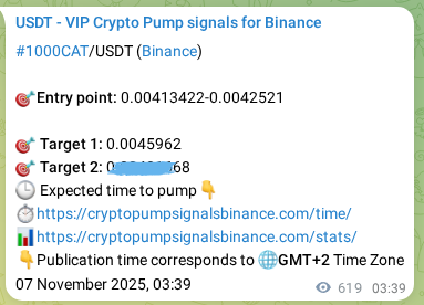 Statistical confirmation: 1000CAT pump signal validation on Binance, 07 November 2025, 19:56