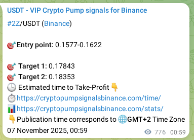 Performance validation: 2Z pump signal delivery on Binance, 07 November 2025, 22:33