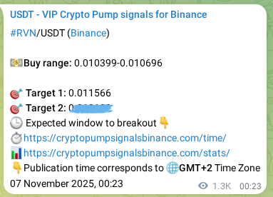 Model validation: RVN pump signal effectiveness on Binance, 08 November 2025, 12:32