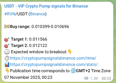Backtesting proof: RVN signal historical accuracy on Binance, 08 November 2025, 12:35