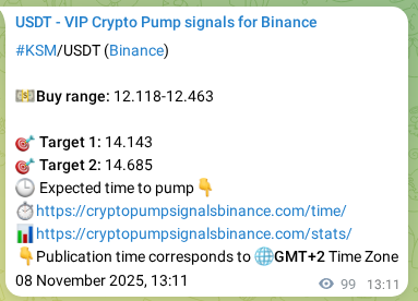 Authenticated proof of KSM's pump signal on Binance at 08 November 2025, 15:55