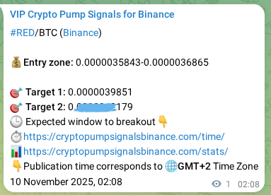 View the proof of RED pump signal on Binance at 10 November 2025, 02:09 Proof of RED pump signal on Binance at 10 November 2025, 02:09