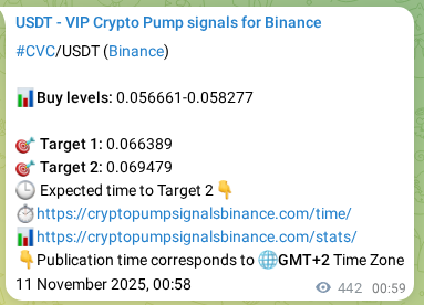 Discover the authenticated CVC pump signal on Binance, 11 November 2025, 12:57 Authenticated CVC pump signal on Binance, 11 November 2025, 12:57