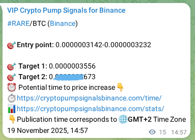View the proof of RARE pump signal on Binance at 19 November 2025, 15:21 Proof of RARE pump signal on Binance at 19 November 2025, 15:21