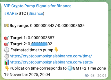 View the proof of RARE pump signal on Binance at 19 November 2025, 21:49 Proof of RARE pump signal on Binance at 19 November 2025, 21:49