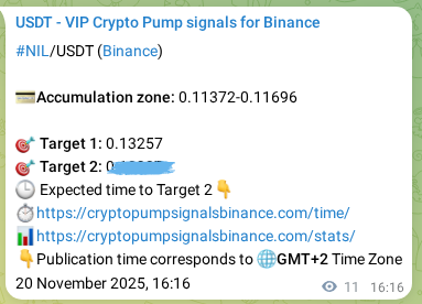 Authenticated proof of NIL's pump signal on Binance at 20 November 2025, 16:16 Authenticated proof of NIL's pump signal on Binance at 20 November 2025, 16:16