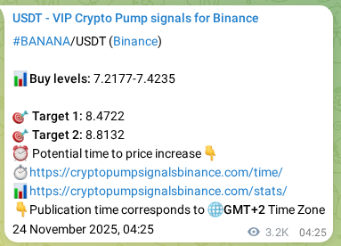 Validate algorithmic accuracy: BANANA pump signal proof on Binance, 27 November 2025, 20:52 Algorithmic validation: BANANA pump signal accuracy on Binance, 27 November 2025, 20:52
