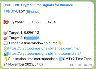 Market signal verification: PNUT on Binance at 28 November 2025, 16:12 Market signal verification: PNUT on Binance at 28 November 2025, 16:12