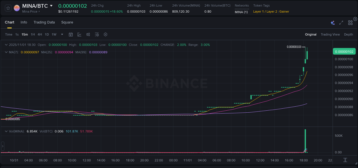 Detailed insights into MINA's pump on Binance at 01 November 2025, 18:38 Detailed report of MINA's pump on Binance at 01 November 2025, 18:38