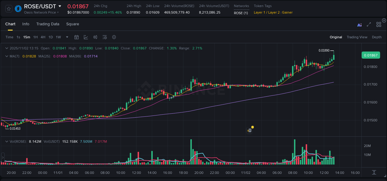 View the trading report for ROSE pump on Binance, 02 November 2025, 13:27 Binance trading data for ROSE pump, 02 November 2025, 13:27