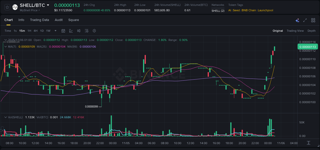Report of SHELL pump on Binance at 06 November 2025, 01:12