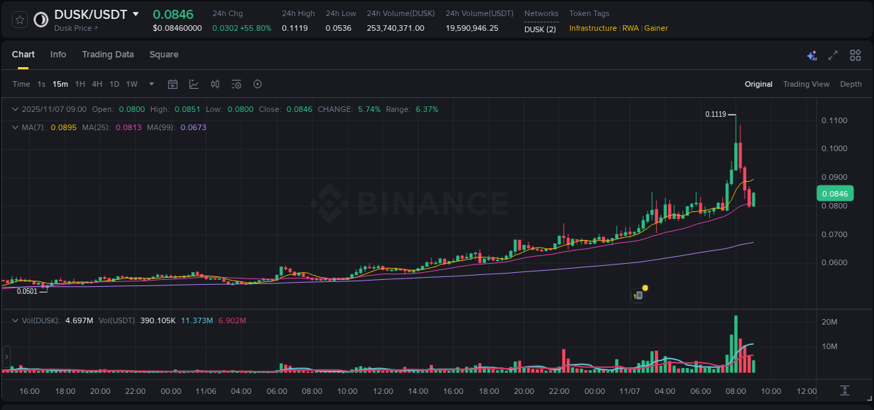Crypto trading analysis: DUSK pump on Binance, 07 November 2025, 08:01