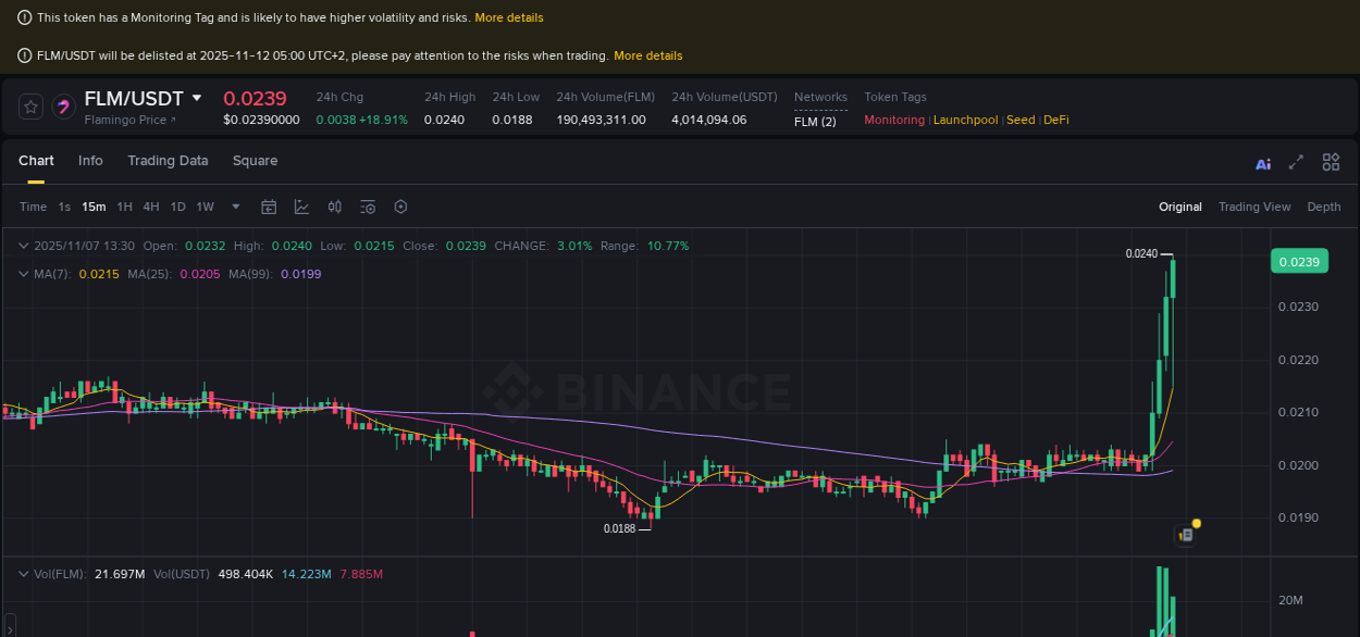 Real-time analytics of FLM pump on Binance, 07 November 2025, 13:38