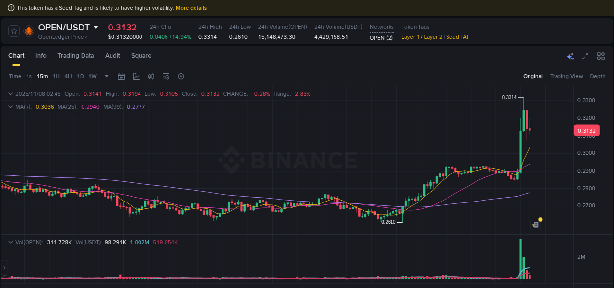 Binance pump data for OPEN at 08 November 2025, 02:13