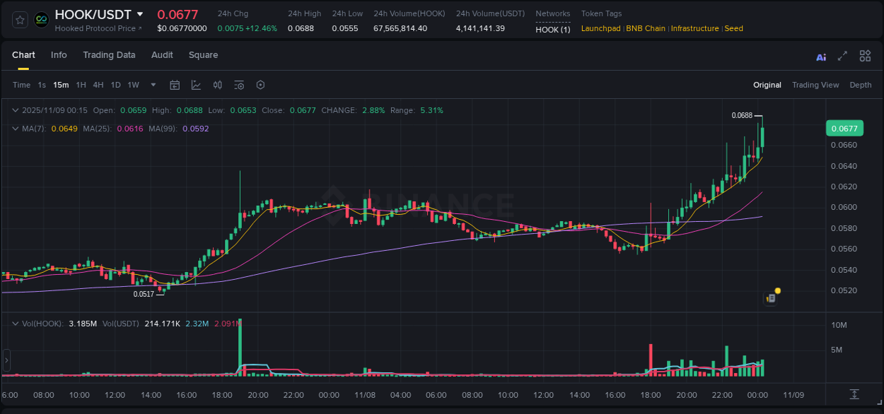 Crypto pump analytics for HOOK on Binance, 09 November 2025, 00:25