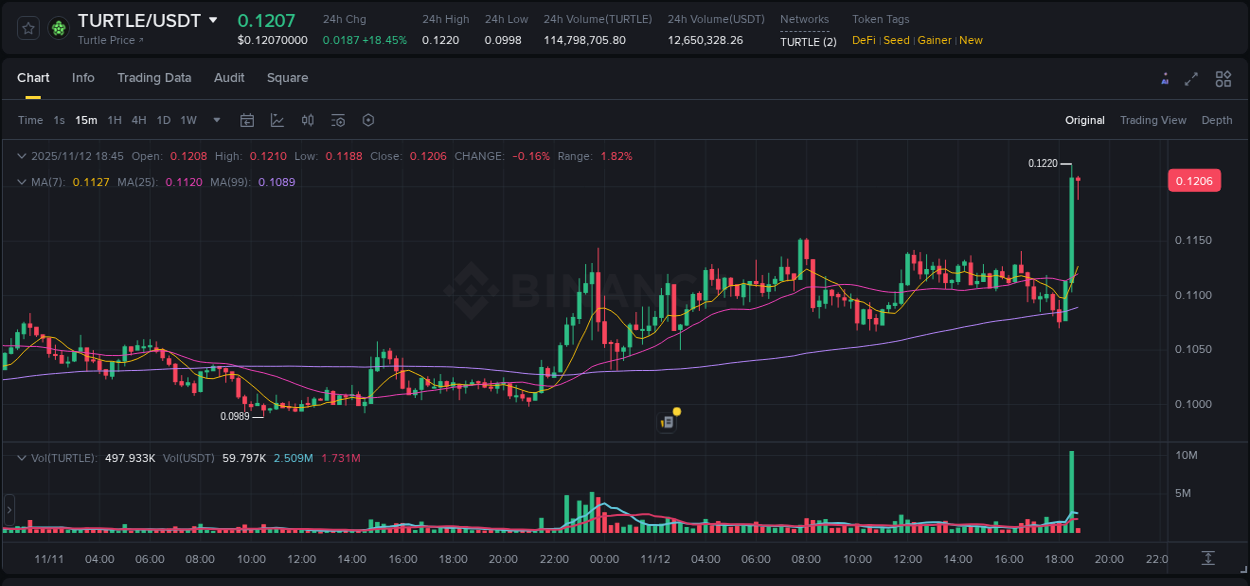 Binance pump data for TURTLE at 12 November 2025, 18:44 Binance pump data for TURTLE at 12 November 2025, 18:44