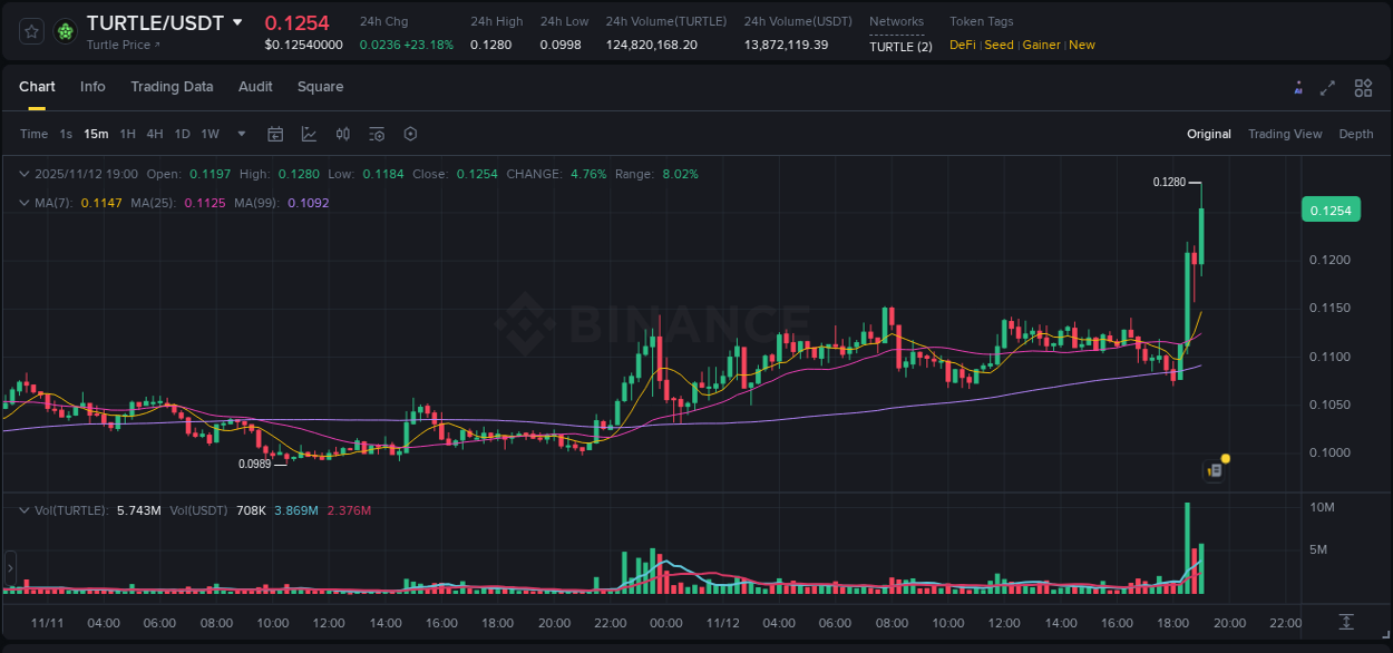 Real-time report of TURTLE pump on Binance, 12 November 2025, 19:05 Real-time report of TURTLE pump on Binance, 12 November 2025, 19:05