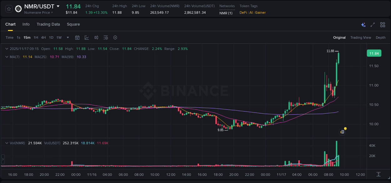 Binance pump data for NMR at 17 November 2025, 09:17 Binance pump data for NMR at 17 November 2025, 09:17