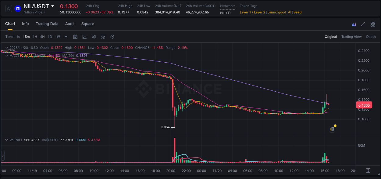 Detailed insights into NIL's pump on Binance at 20 November 2025, 16:16 Detailed report of NIL's pump on Binance at 20 November 2025, 16:16